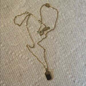 Aniahaie Gold Necklace with Pendant